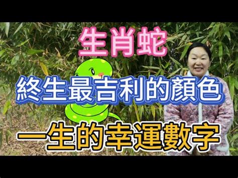 屬蛇幸運數字|【屬蛇幸運數字】絕不能錯過！屬蛇幸運數字出爐，通往財運和幸。